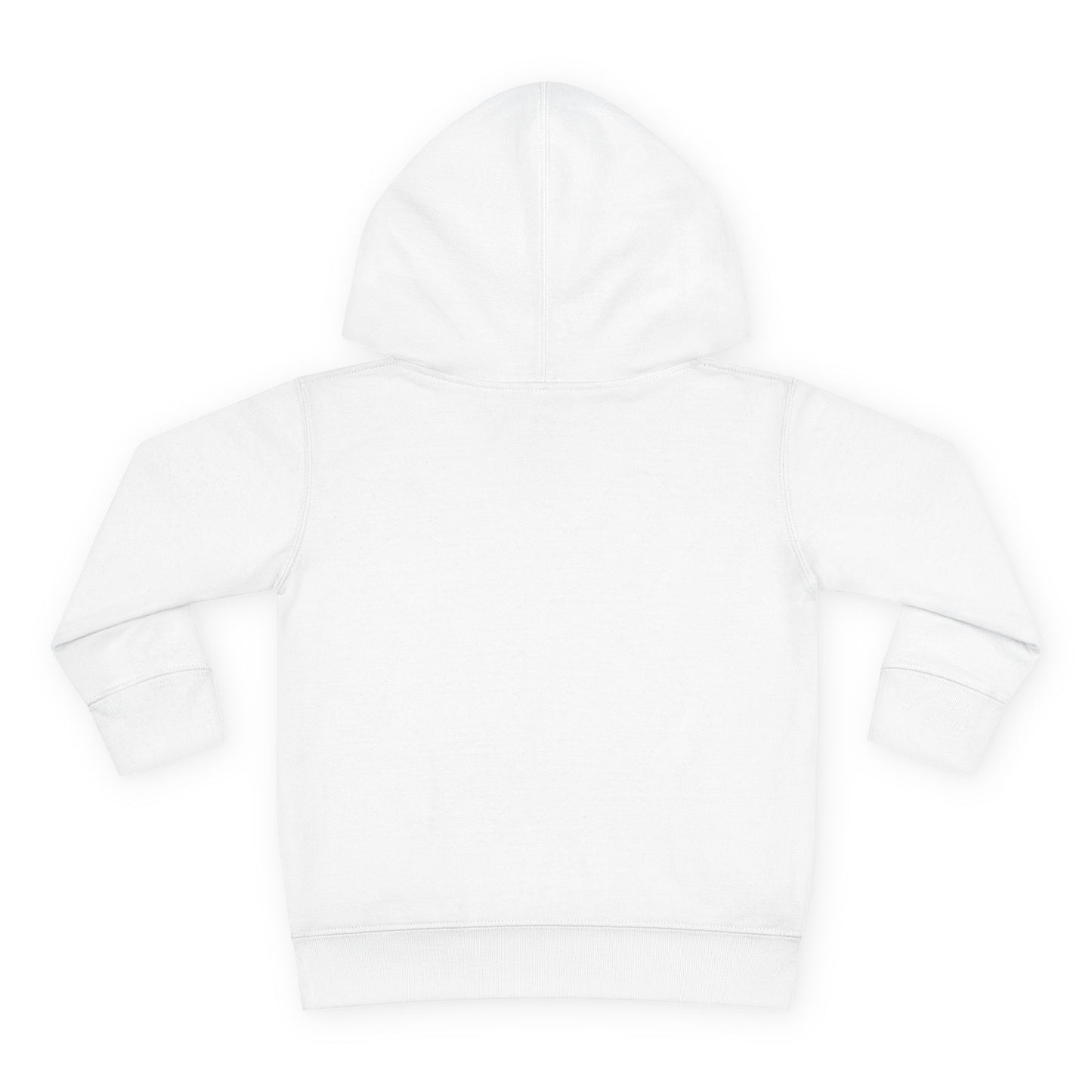 Toddler Hoodie — 12th CCHS Day