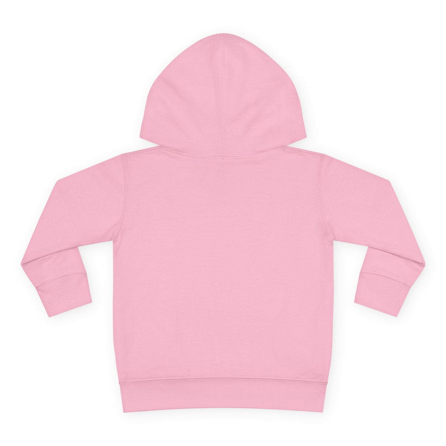 Toddler Hoodie — 12th CCHS Day